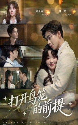 打开鸟笼的前提 海报