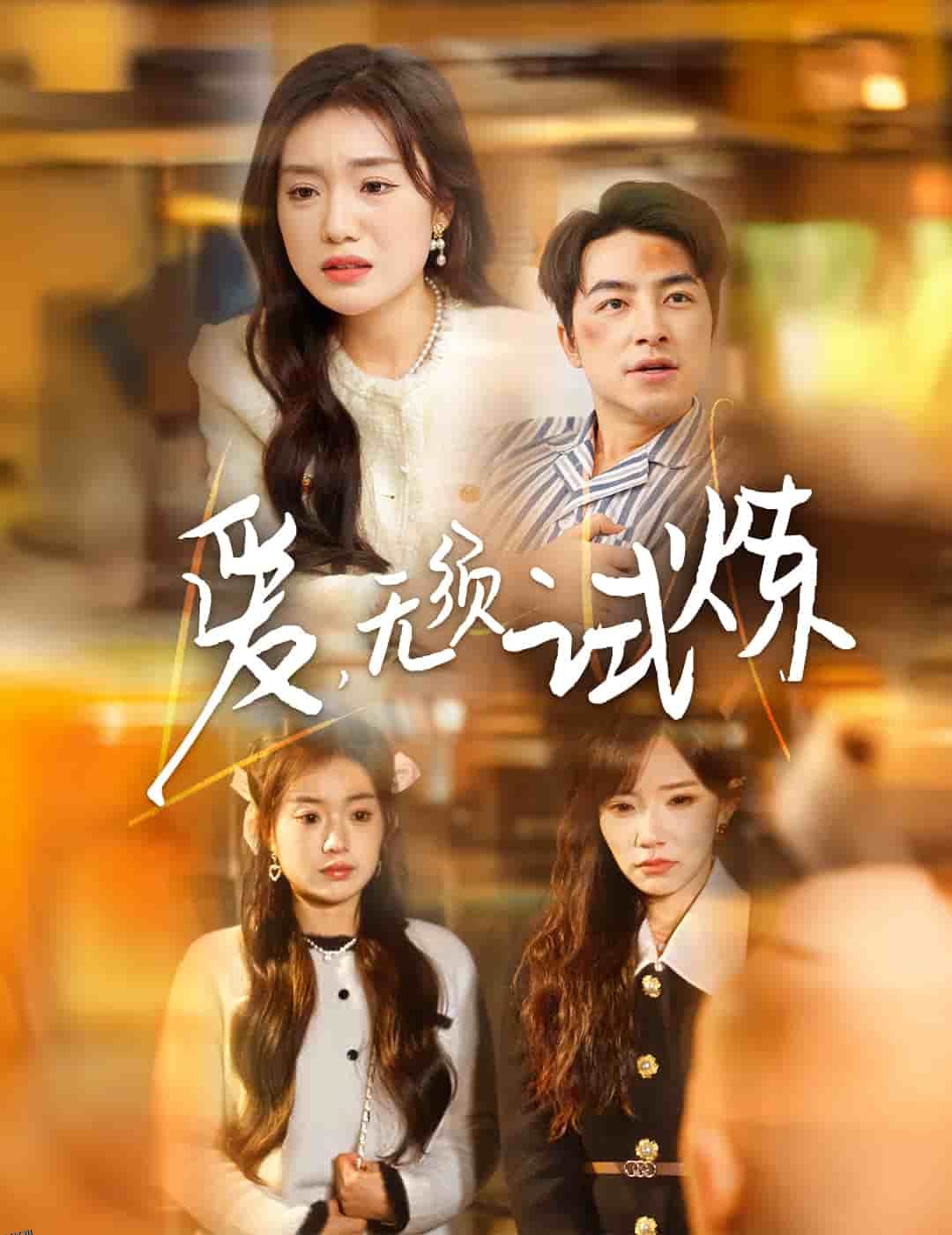 爱无须试炼 海报