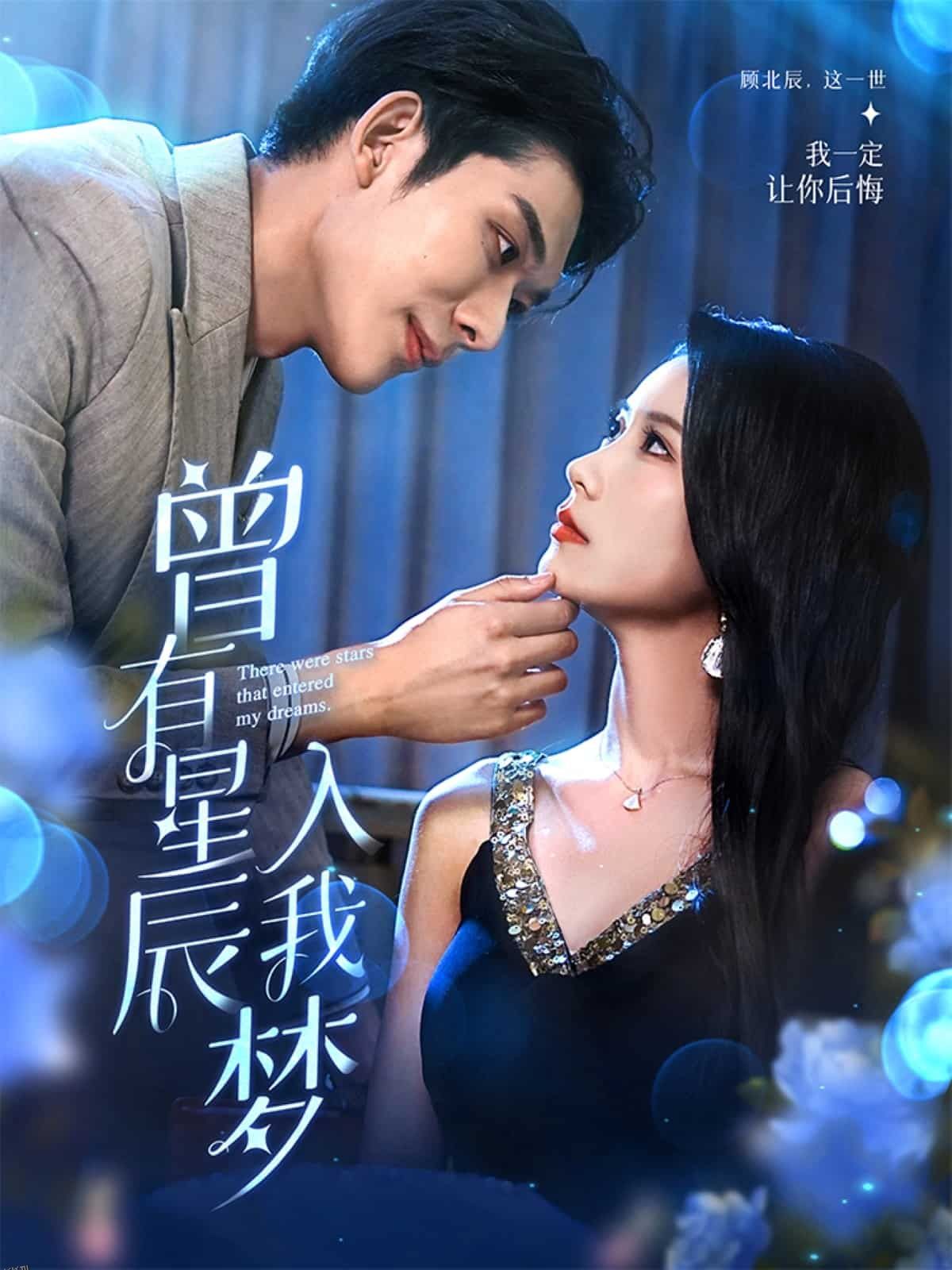 曾有星辰入我梦 海报