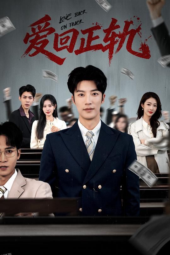 爱回正轨 海报