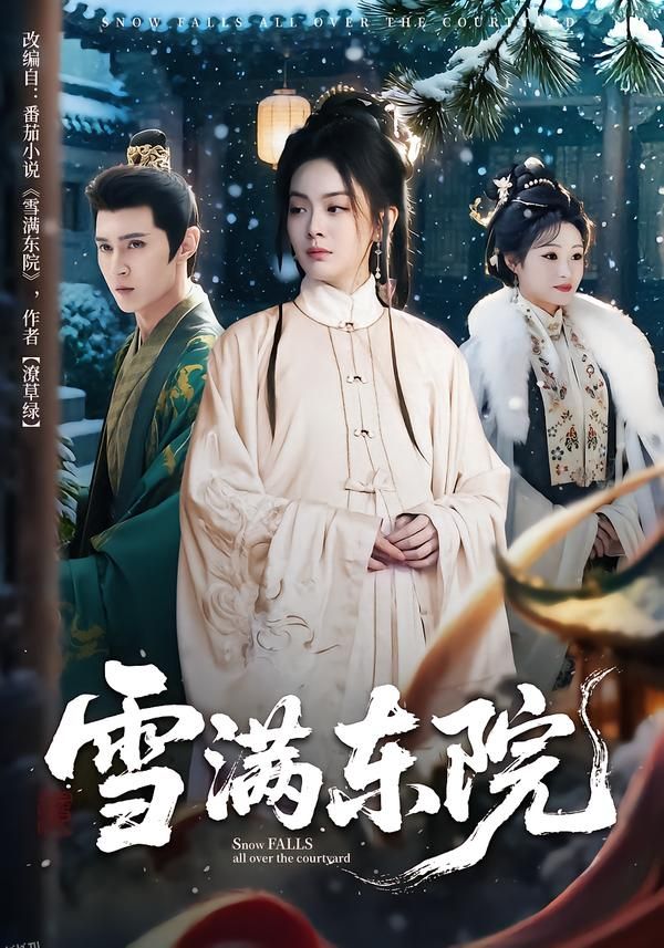 雪满东院 海报