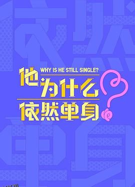 他为什么依然单身 海报