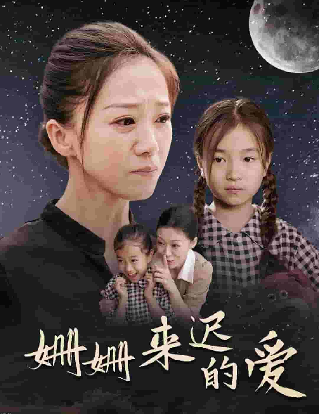 姗姗来迟的爱 海报