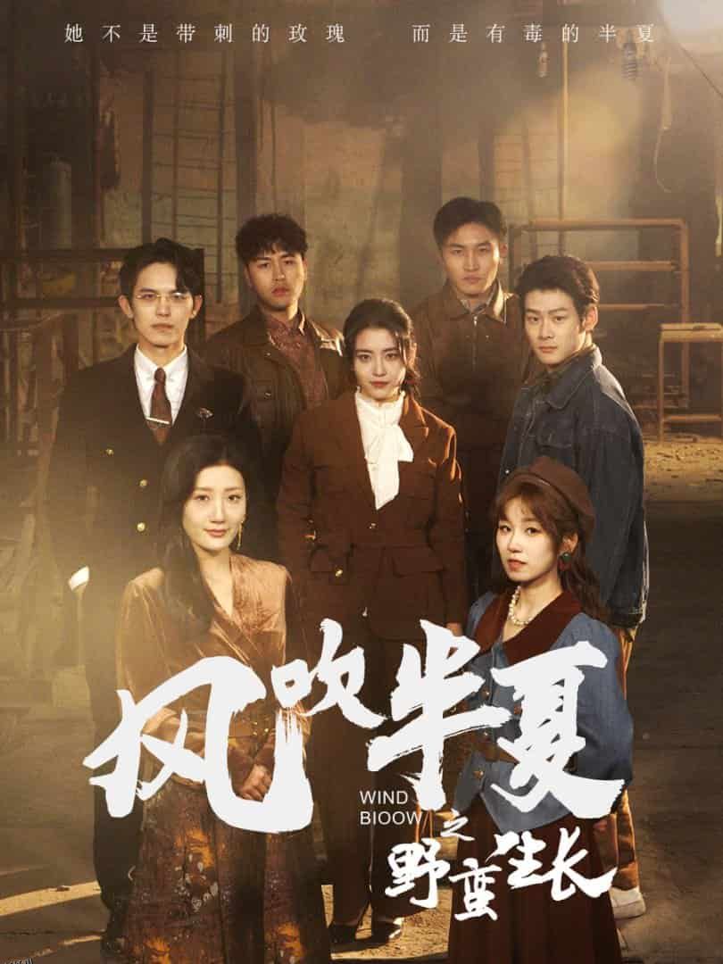 风吹半夏之野蛮生长 海报