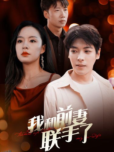 我和前妻联手了 海报