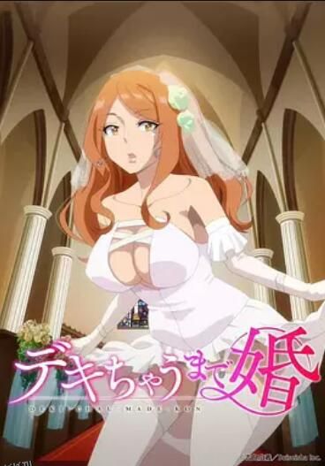 做到怀孕为止的婚姻 海报