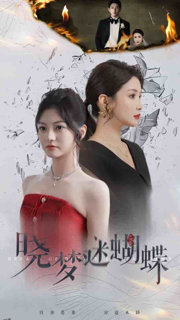 晓梦迷蝴蝶 海报