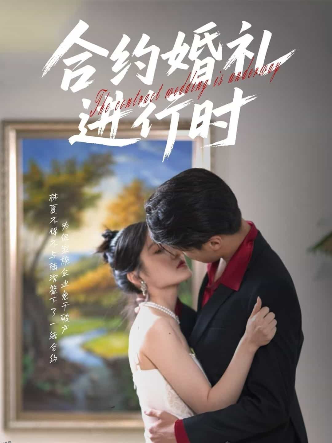 合约婚礼进行时 海报