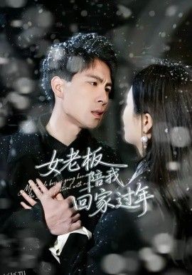 女老板陪我回家过年 海报