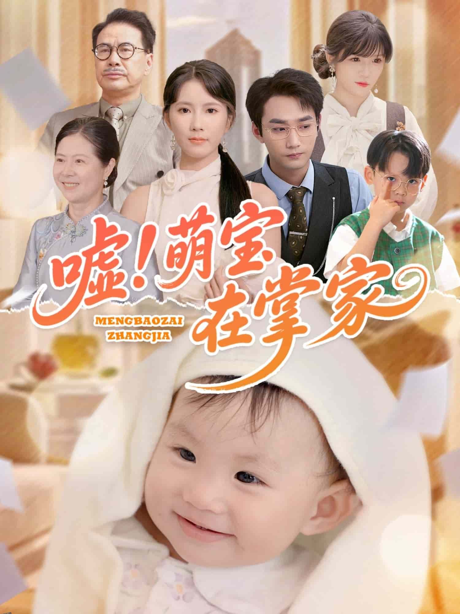 嘘！萌宝在掌家 海报