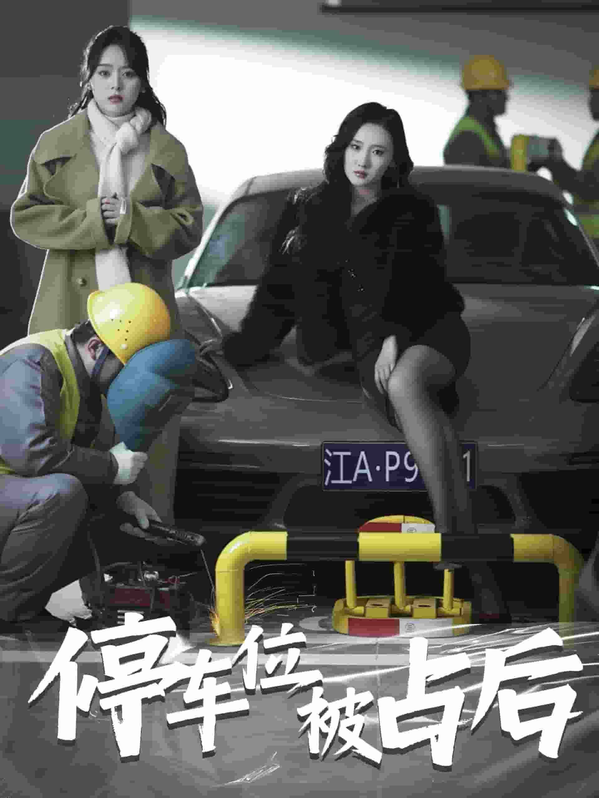 停车位被占后 海报