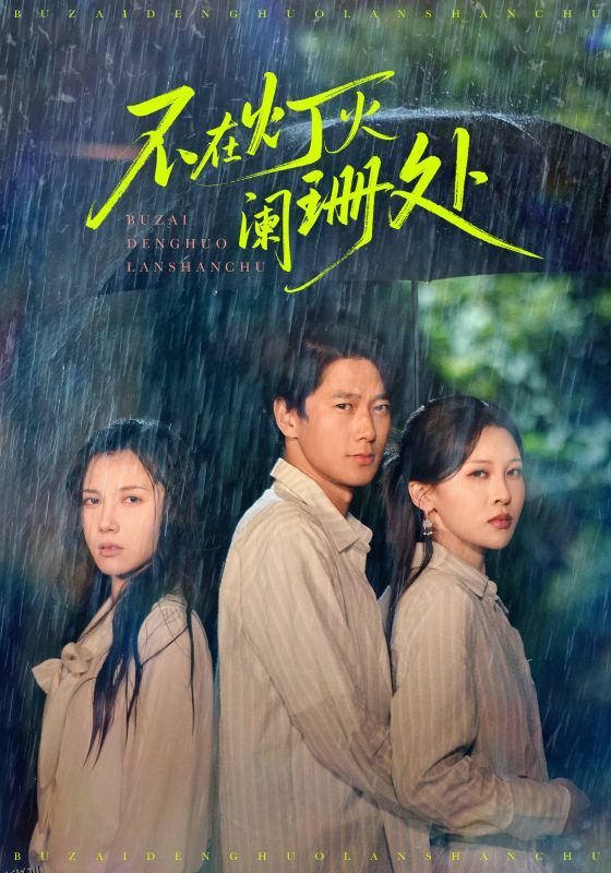 不在灯火阑珊处2025 高清海报