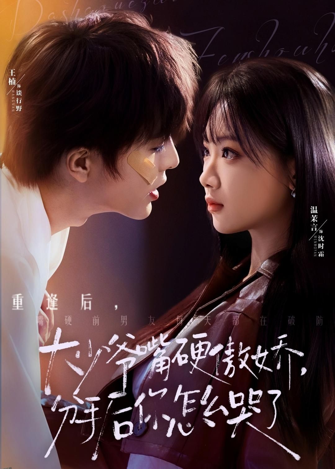 大少爷嘴硬傲娇，分手后你怎么哭了 海报