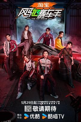风驰赛车手 海报