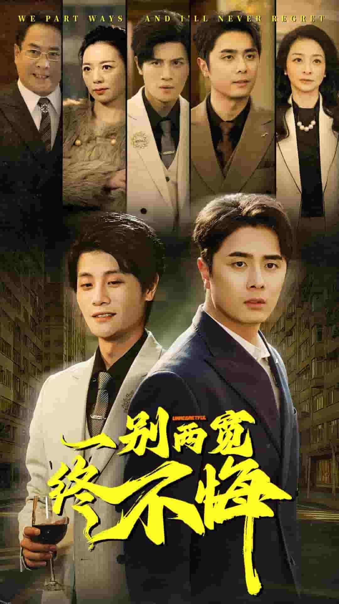 一别两宽终不悔 海报