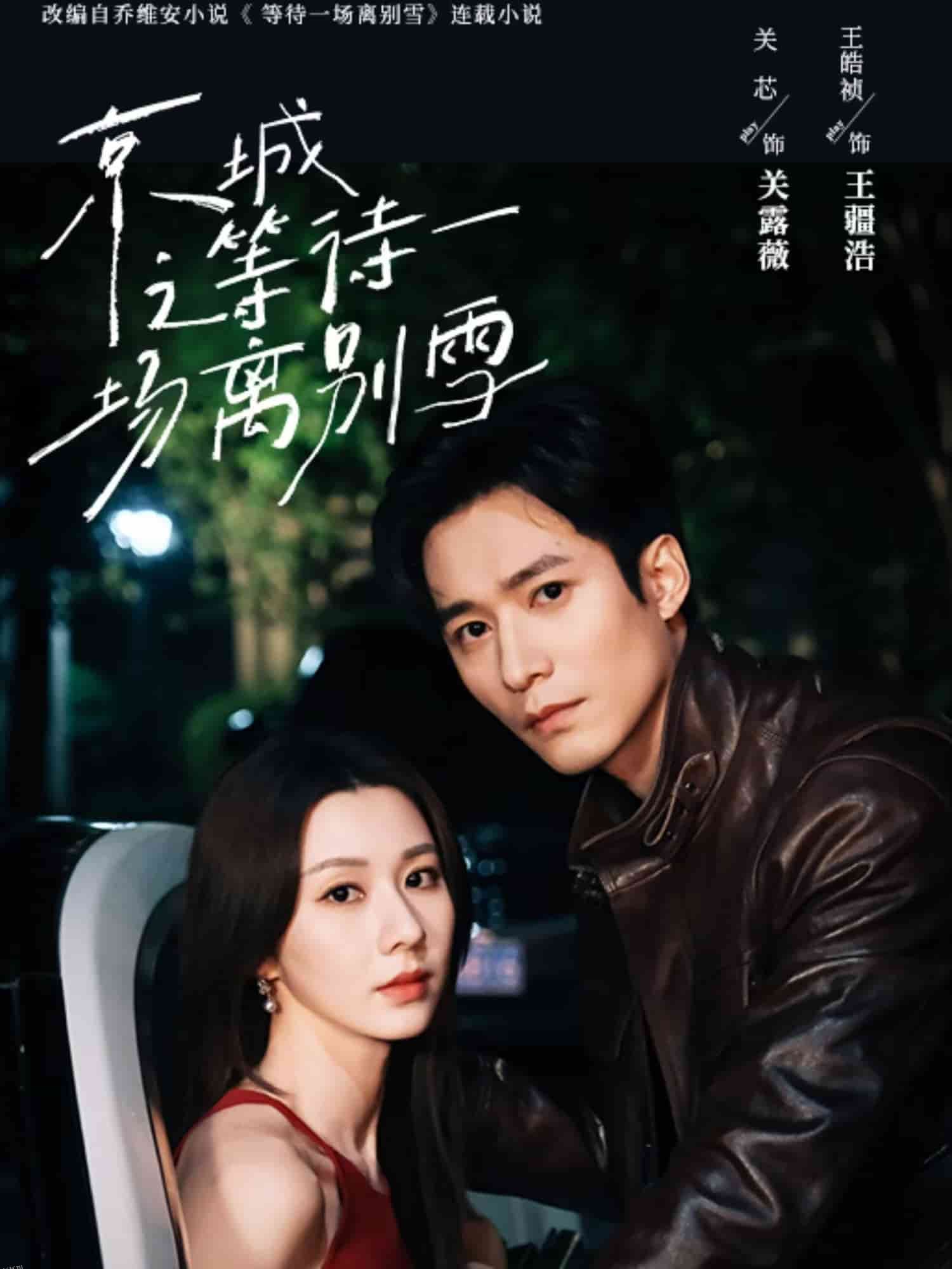 京城之等待一场离别雪 海报