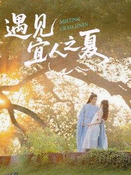 遇见宜人之夏 海报