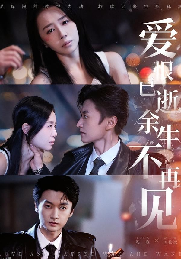 爱恨已逝，余生不再见 海报