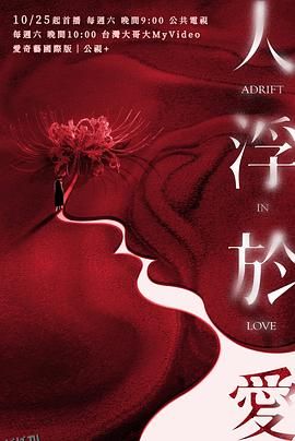 人浮于爱 海报