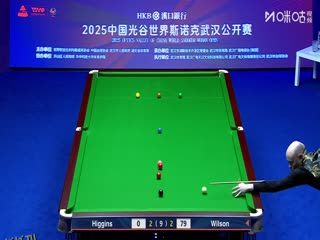 2025斯诺克武汉公开赛四分之一决赛 加里·威尔逊5-3约翰·希金斯 20250828 海报