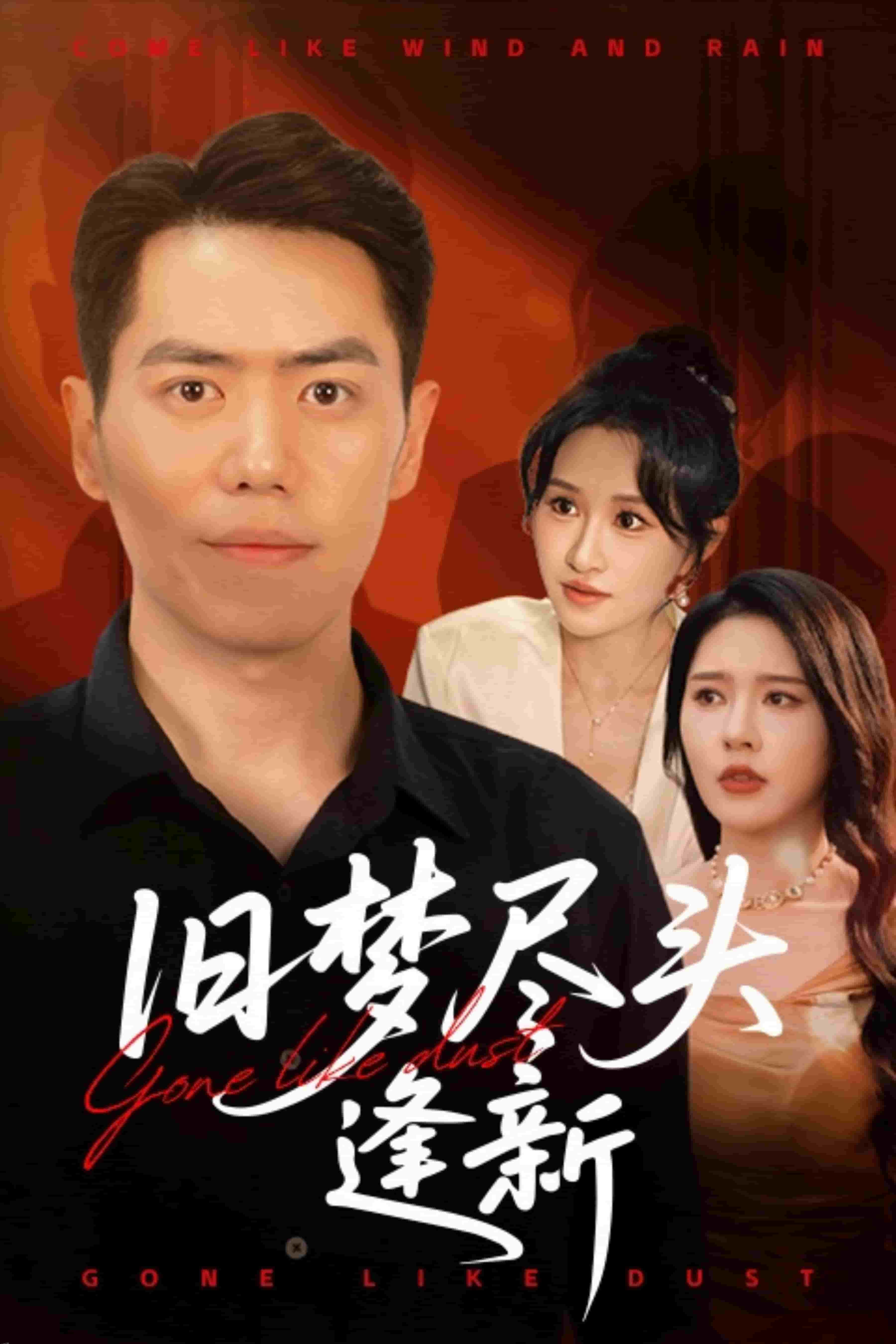 旧梦尽头逢新 海报