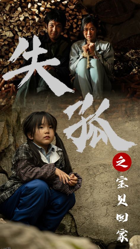 失孤之宝贝回家 海报