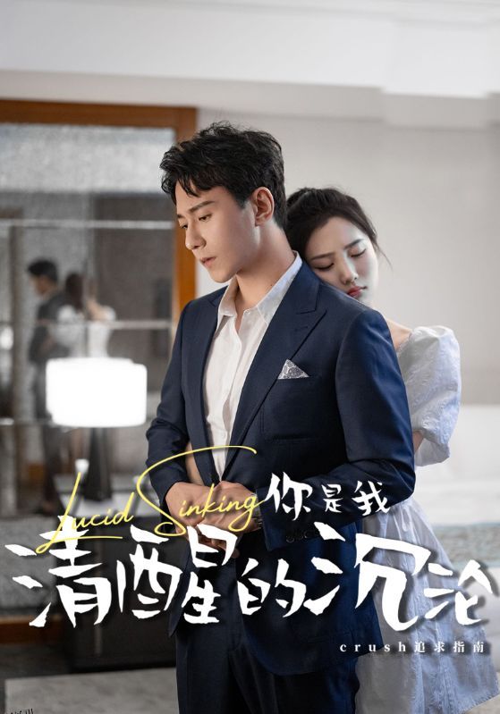 你是我清醒的沉沦 海报