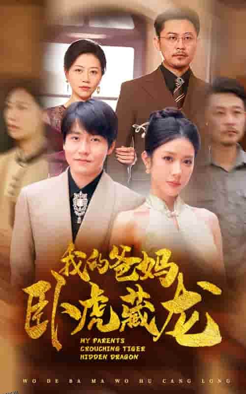 我的爸妈卧虎藏龙 海报