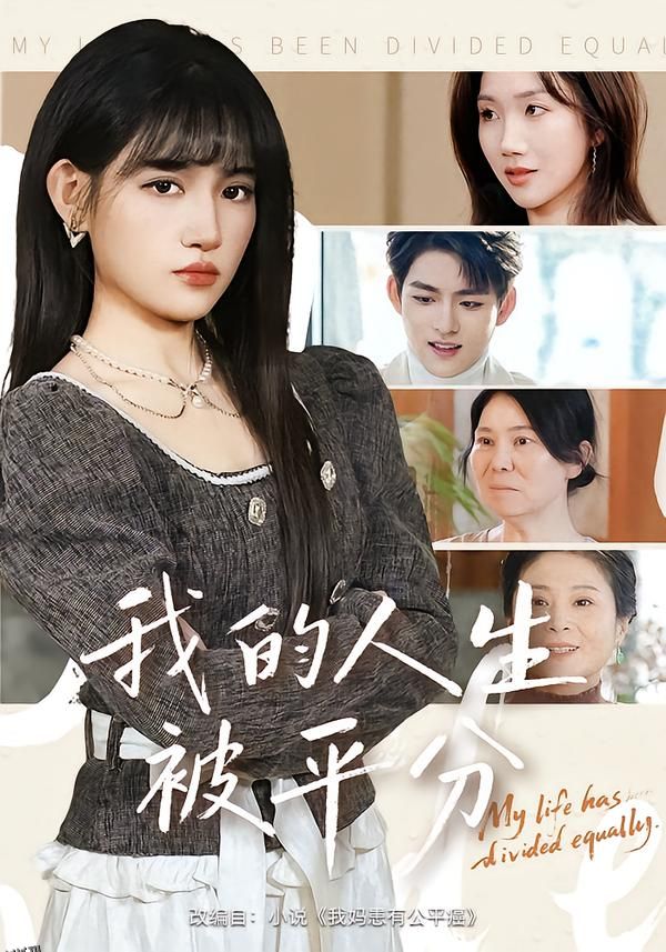 我的人生被平分 海报