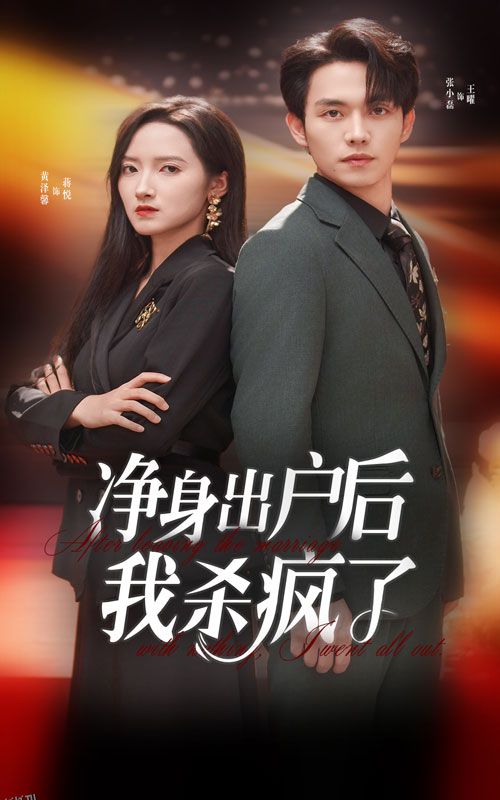 净身出户后我杀疯了 海报