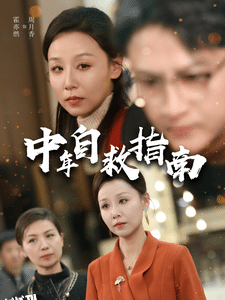中年自救指南 海报