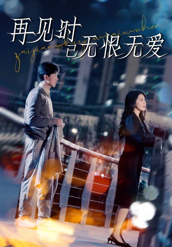 再见时已无恨无爱 海报