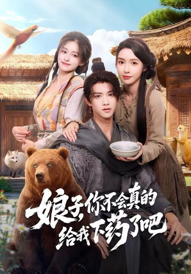 娘子，你不会真的给我下药了吧 海报