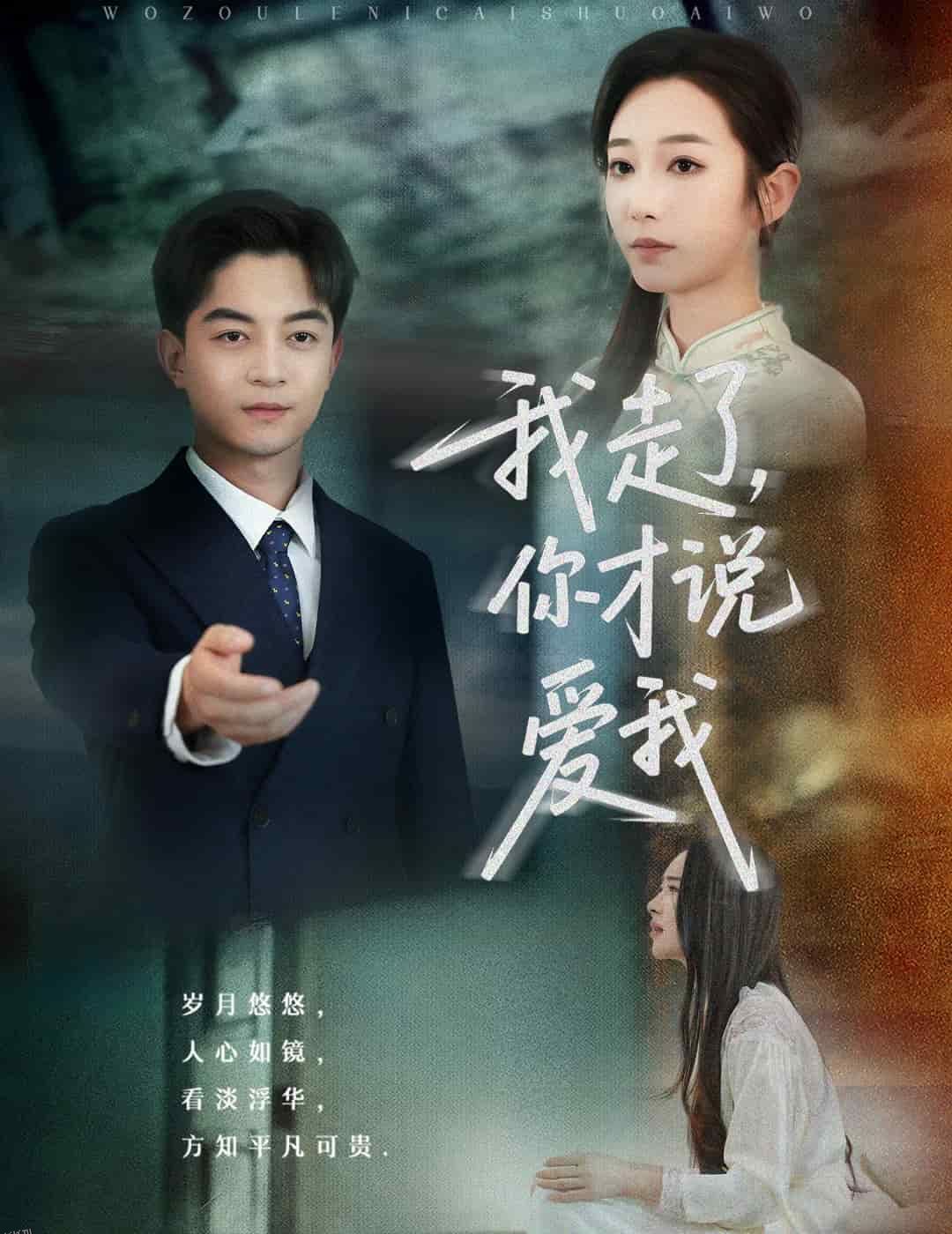 我走了你才说爱我 海报