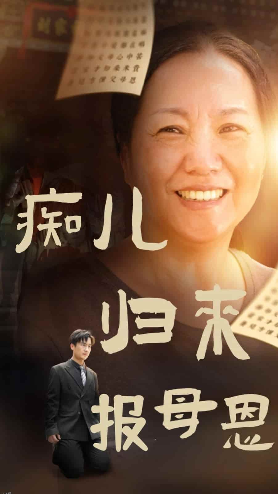 痴儿归来报母恩 海报