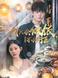 我只会做饭不会行医 海报
