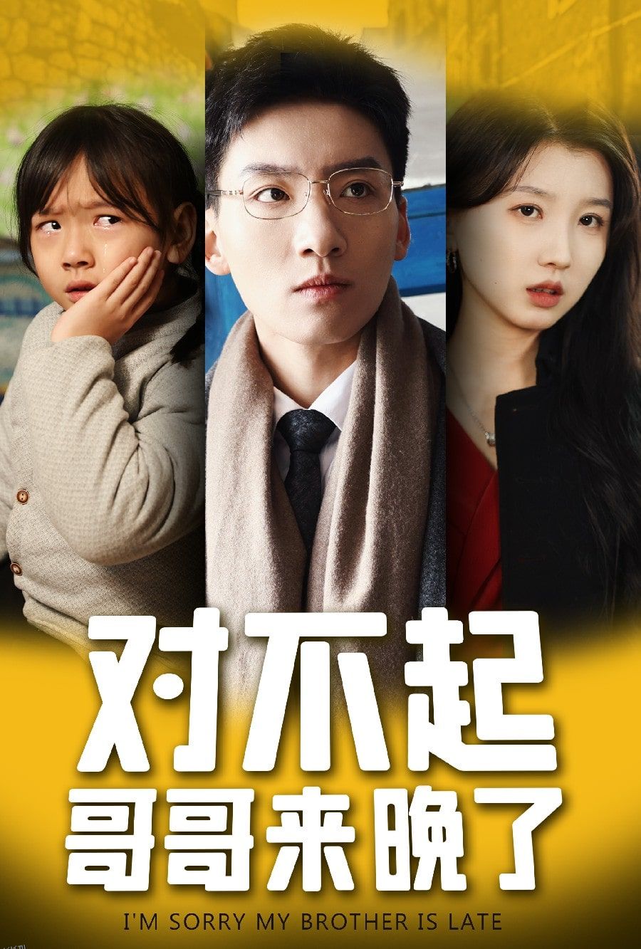 对不起，哥哥来晚了 海报