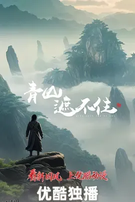 青山遮不住 海报