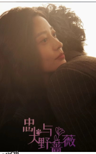 忠犬与野蔷薇 海报