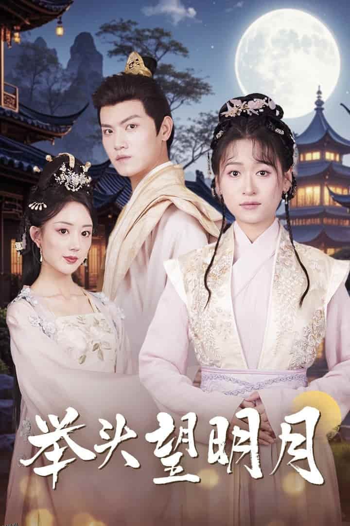 举头望明月 海报