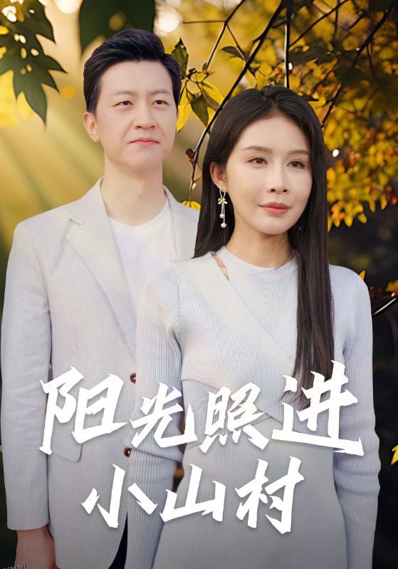 阳光照进小山村 海报