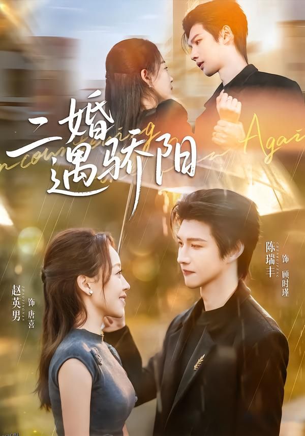 二婚遇骄阳 海报