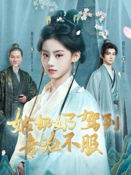 姑奶奶驾到专治不服 海报