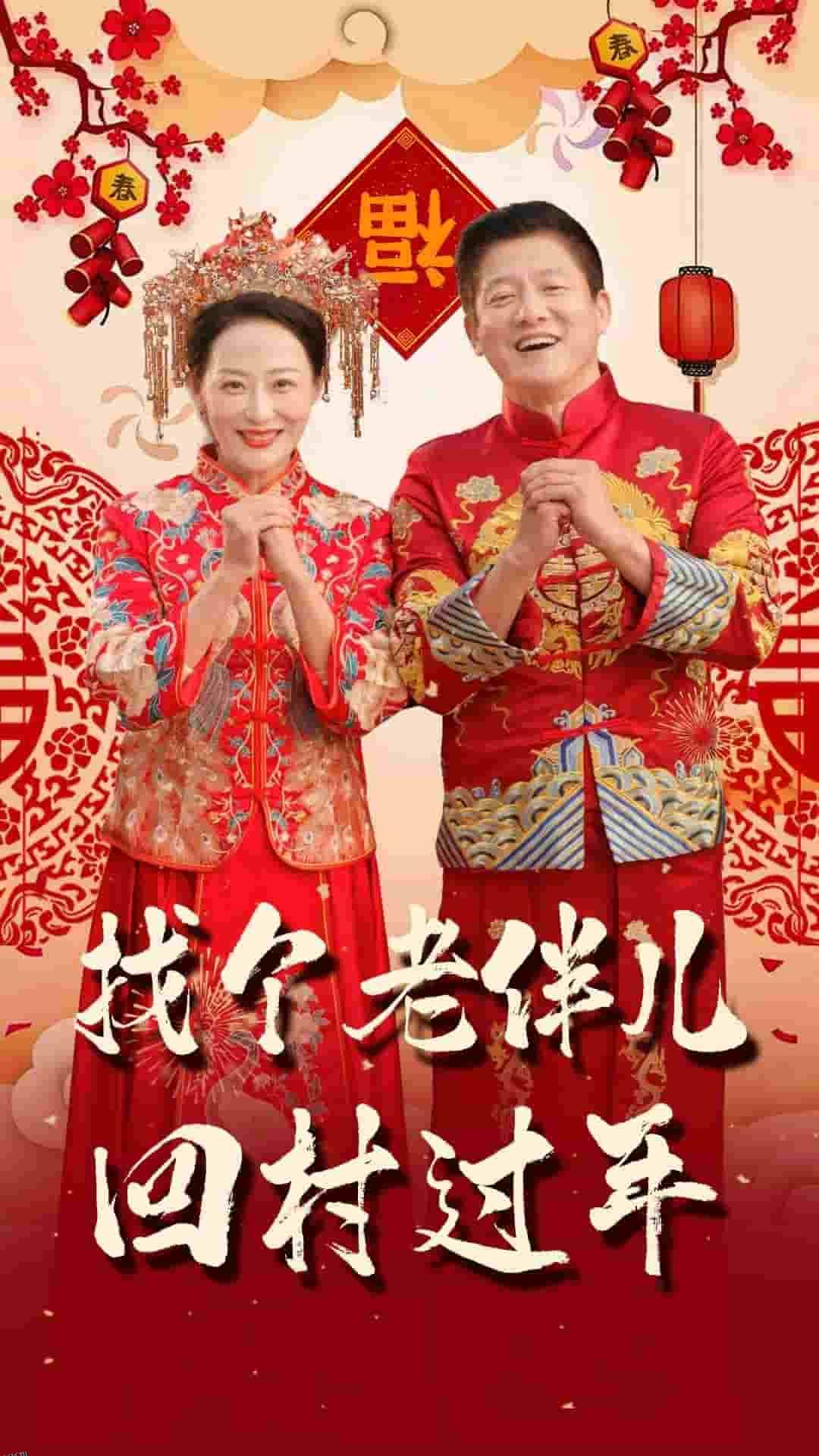 找个老伴儿回村过年 海报