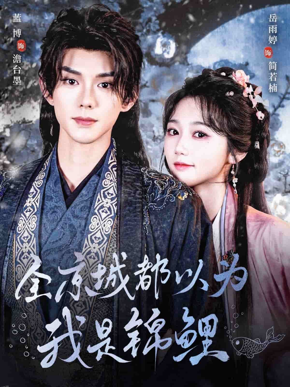 全京城都以为我是锦鲤 海报