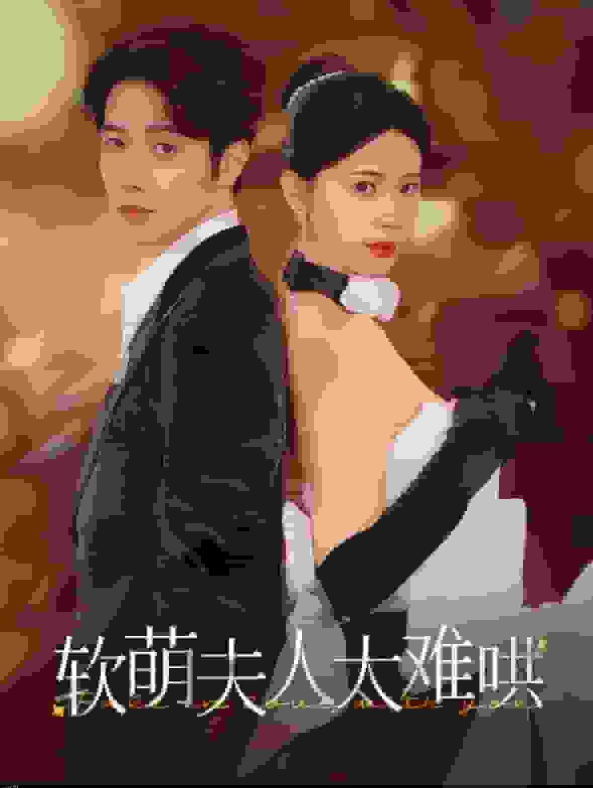 软萌夫人太难哄 海报