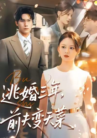 逃婚三年，前夫变天菜 海报