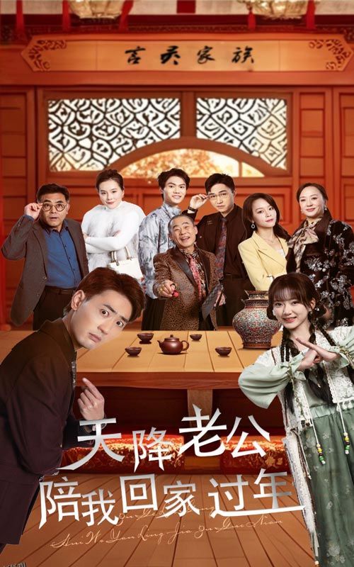 天降老公陪我回家过年 海报