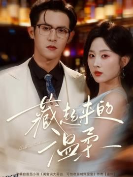 藏起来的温柔 海报