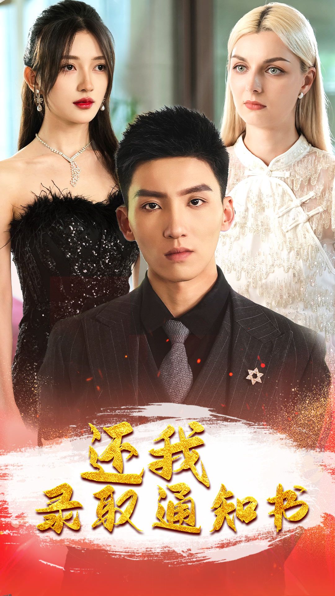 还我录取通知书 海报